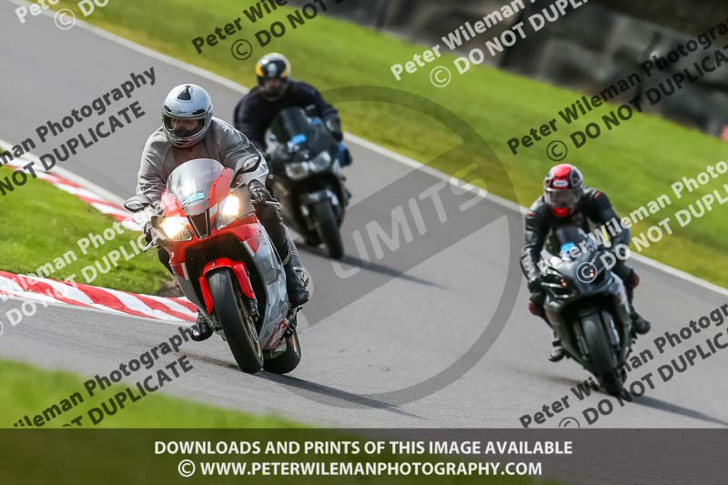 Oulton Park 21st March 2020;PJ Motorsport Photography 2020;anglesey;brands hatch;cadwell park;croft;donington park;enduro digital images;event digital images;eventdigitalimages;mallory;no limits;oulton park;peter wileman photography;racing digital images;silverstone;snetterton;trackday digital images;trackday photos;vmcc banbury run;welsh 2 day enduro